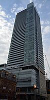 Lightbox cropped.JPG