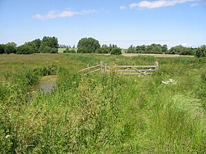 Looking W across the Newnham Valley - geograph.org.uk - 856808