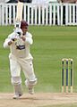Marcus trescothick batting