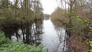 Mid Colne Valley Long Pond
