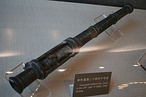 Ming Composite Gun (9872833824)