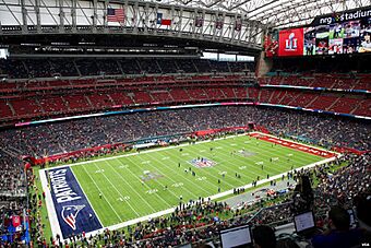 NRG Stadium SBLI.jpg