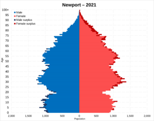 Newport population pyramid