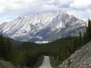 On the road from Maligne Lake - panoramio.jpg