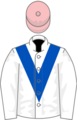 Owner Mr Richard Collins