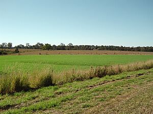 Paddocks along Waterford Tamborine Road Logan Village