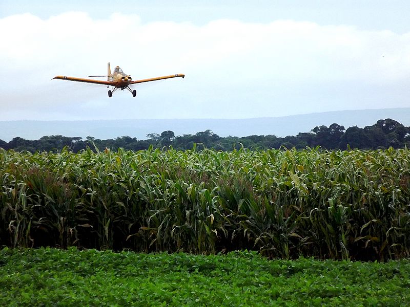 Image Paracatu State of Minas Gerais, Brazil panoramio (15)