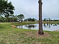 Pine Manor, Florida 4