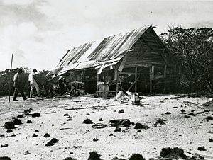 Poacher's workshop, Peale Island, July 27, 1923