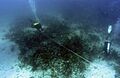 Populo Shipwreck Site