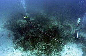 Populo Shipwreck Site