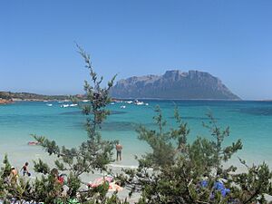 Porto istana e isola di tavolara - panoramio