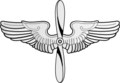 Prop and wings