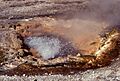 Pump geyser