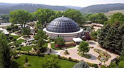 Reptile Gardens aerial view.jpg