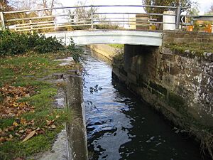 River Ivel Navigation old bridge at Holme - geograph.org.uk - 611712
