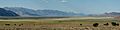 RubyValleyNV