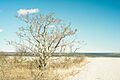 Short Beach I