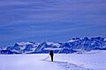 Skiing the Columbia Icefield, Doug