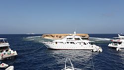 Small Brother island in the Red Sea surrounded by dive safari boats.JPG