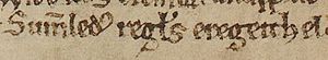 Somairle mac Gilla Brigte (British Library MS Cotton Faustina B IX, folio 19v)