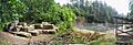 Tenino, WA - Quarry Pool pano 01