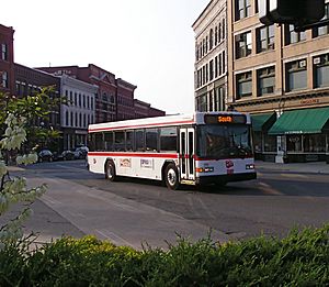 The Bus Rutland