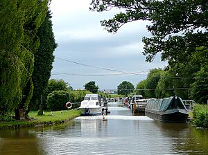 The Lichfield Canal at Huddlesford Junction - geograph.org.uk - 1163861