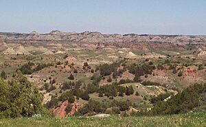 Theodore Roosevelt Wilderness