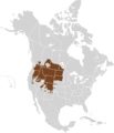 Thomomys talpoides map