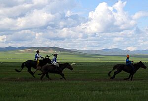 Three Naadam riders