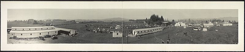 Tillamook County Fair 1915 Panoramic photographs Library of Congress Digital ID pan 6a27099r