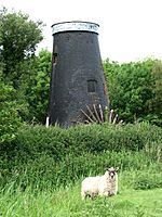 Tunstall Dyke Tower Mill.jpg