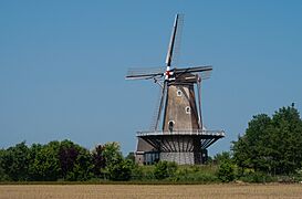 Varik, korenmolen de Bol RM30360 IMG 3517 2018-05-20 12.49