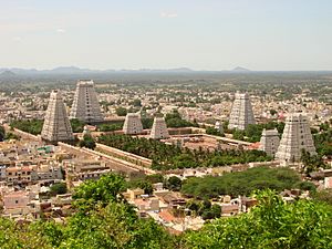 View over Arunchaleshvara Temple from the Red Mountain - Tiruvannamalai - India 01