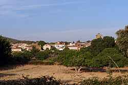 Marrupe Facts for Kids