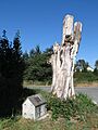 WrightHeritageTree