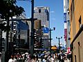 鯉城通り - panoramio (1)