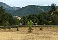 2009-0726-CA-Tehachapi-CourtlandtGross