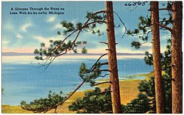 A glimpse through the pines on Lake Wah-ba-ka-netta, Michigan (66505).jpg