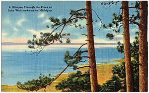 A glimpse through the pines on Lake Wah-ba-ka-netta, Michigan (66505)