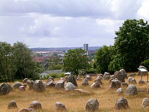 Aalborg - Lindholm Høje 10 ies