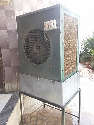 Air cooler