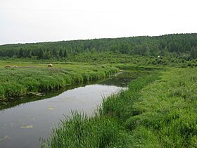Amisk River AB.JPG