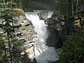 Athabasca Falls 2005-06-11