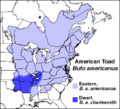 B americanus range23