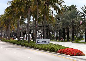 Collins Ave. in Bal Harbour