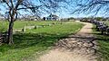 Barrington Farm, residence of Dr. Anson Jones