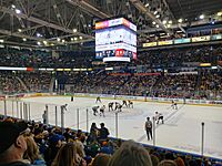 Blades vs Wariors 7 May 2024