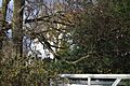 Bogota farmhouse through the trees